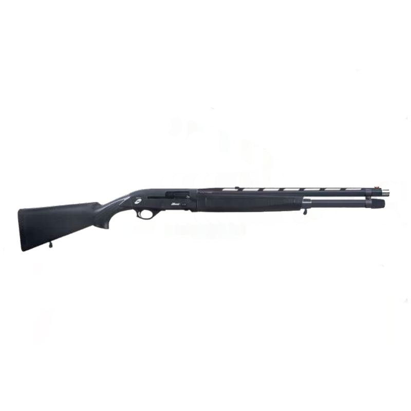 ARMSAN2